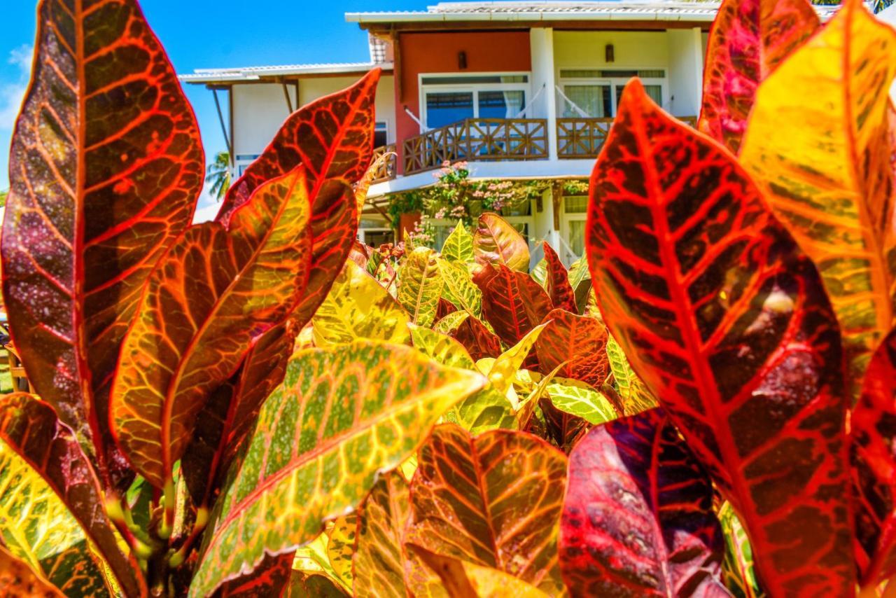 Pousada Marceneiro São Miguel dos Milagres Exterior foto